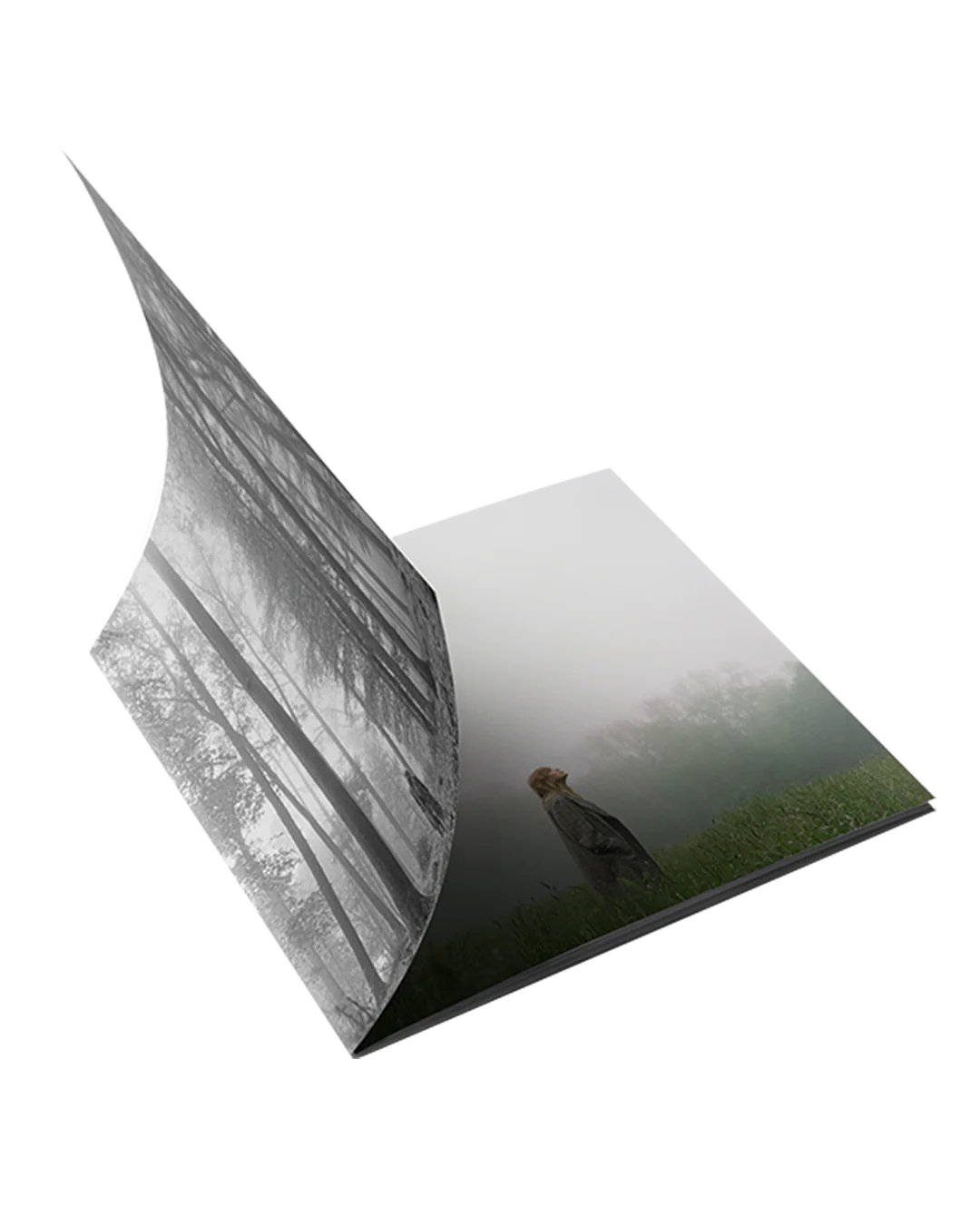 1. the “in the trees" edition deluxe cd - Image 3