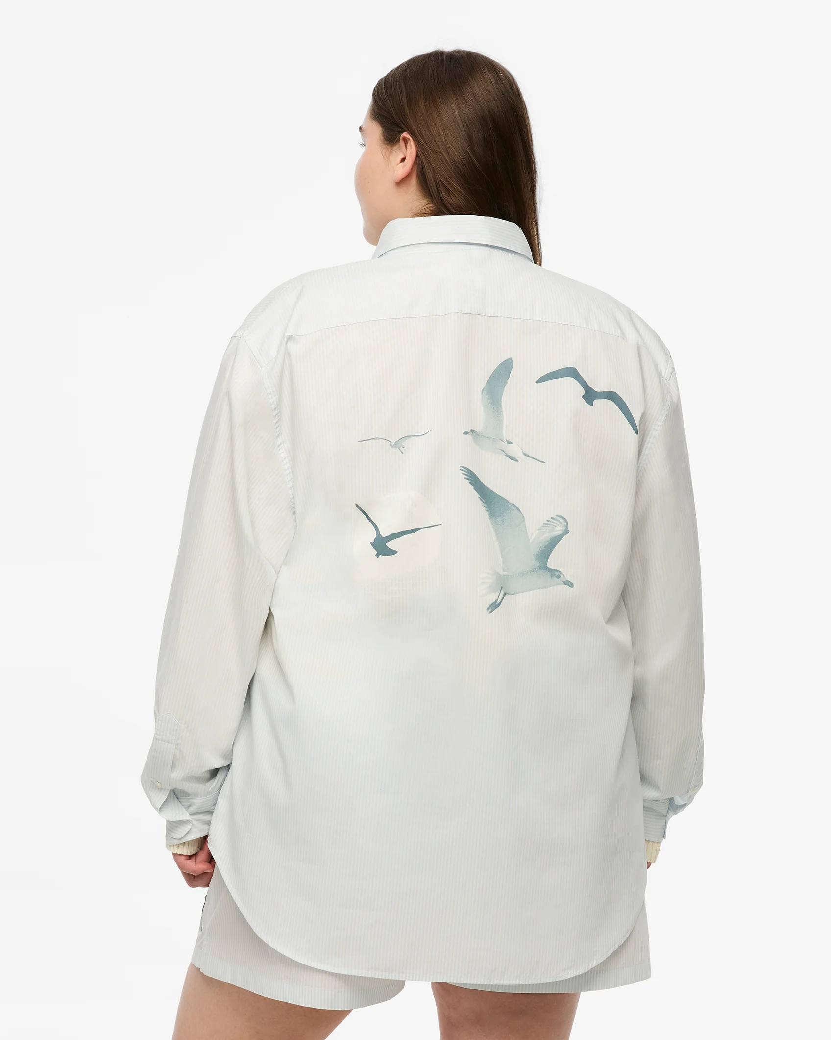 1989 (Taylor’s Version) Seagull Blue Stripe Poplin Shirt - Image 8