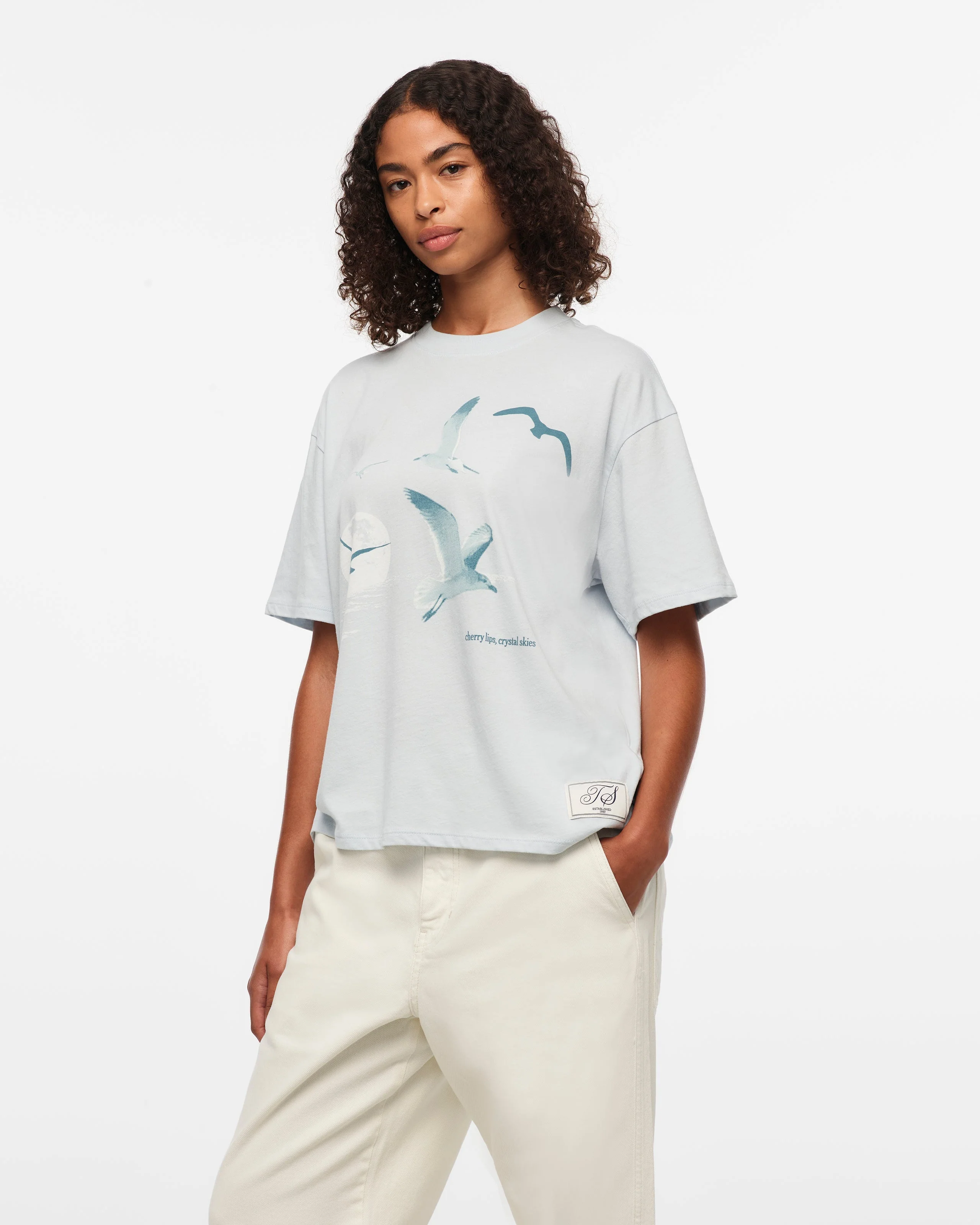 1989 (Taylor’s Version) Seagull Boxy T-Shirt - Image 5